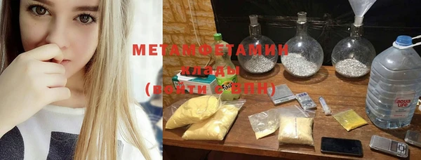 молекула духа Богданович