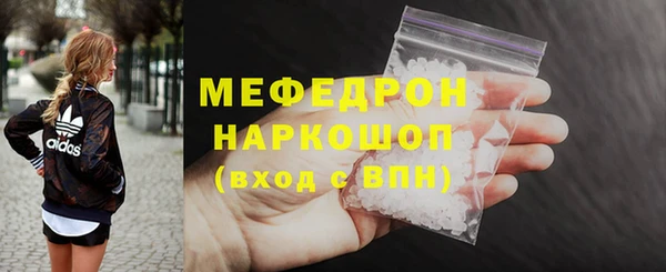 молекула духа Богданович