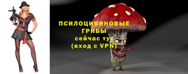 ПСИЛОЦИБИНОВЫЕ ГРИБЫ Богородицк
