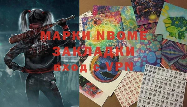молекула духа Богданович
