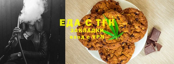 молекула духа Богданович