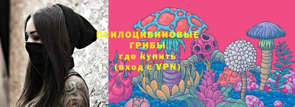 ПСИЛОЦИБИНОВЫЕ ГРИБЫ Богородицк
