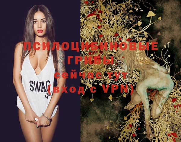 молекула духа Богданович