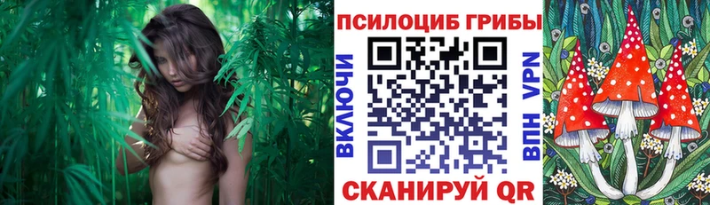 Галлюциногенные грибы мухоморы  где купить наркоту  Светогорск 